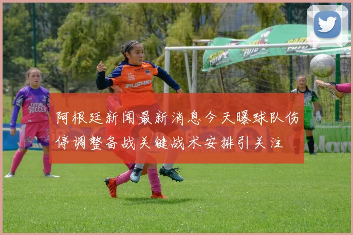 阿根廷新闻最新消息今天曝球队伤停调整备战关键战术安排引关注